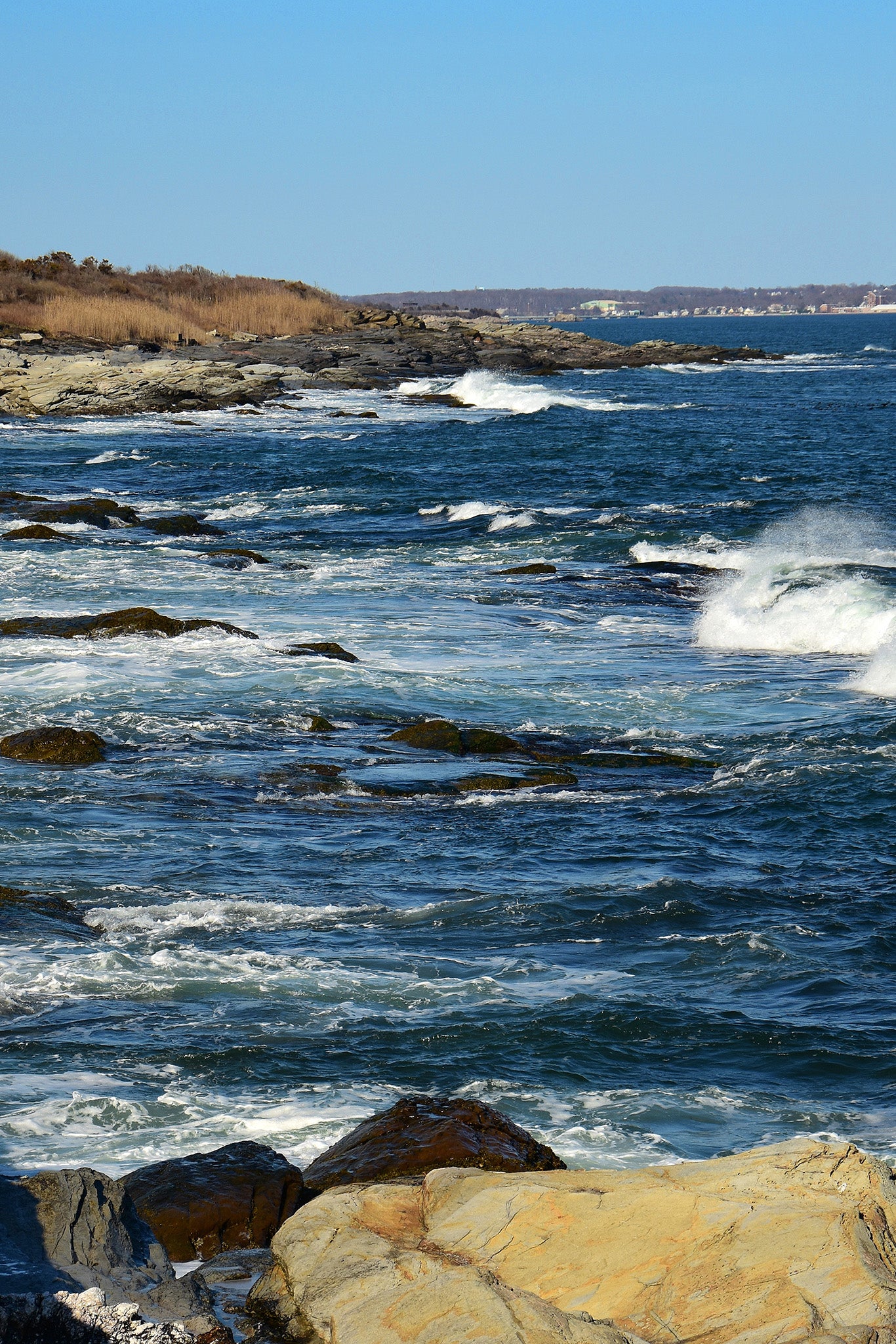 Our coastal backyard inspires our baristas every day
