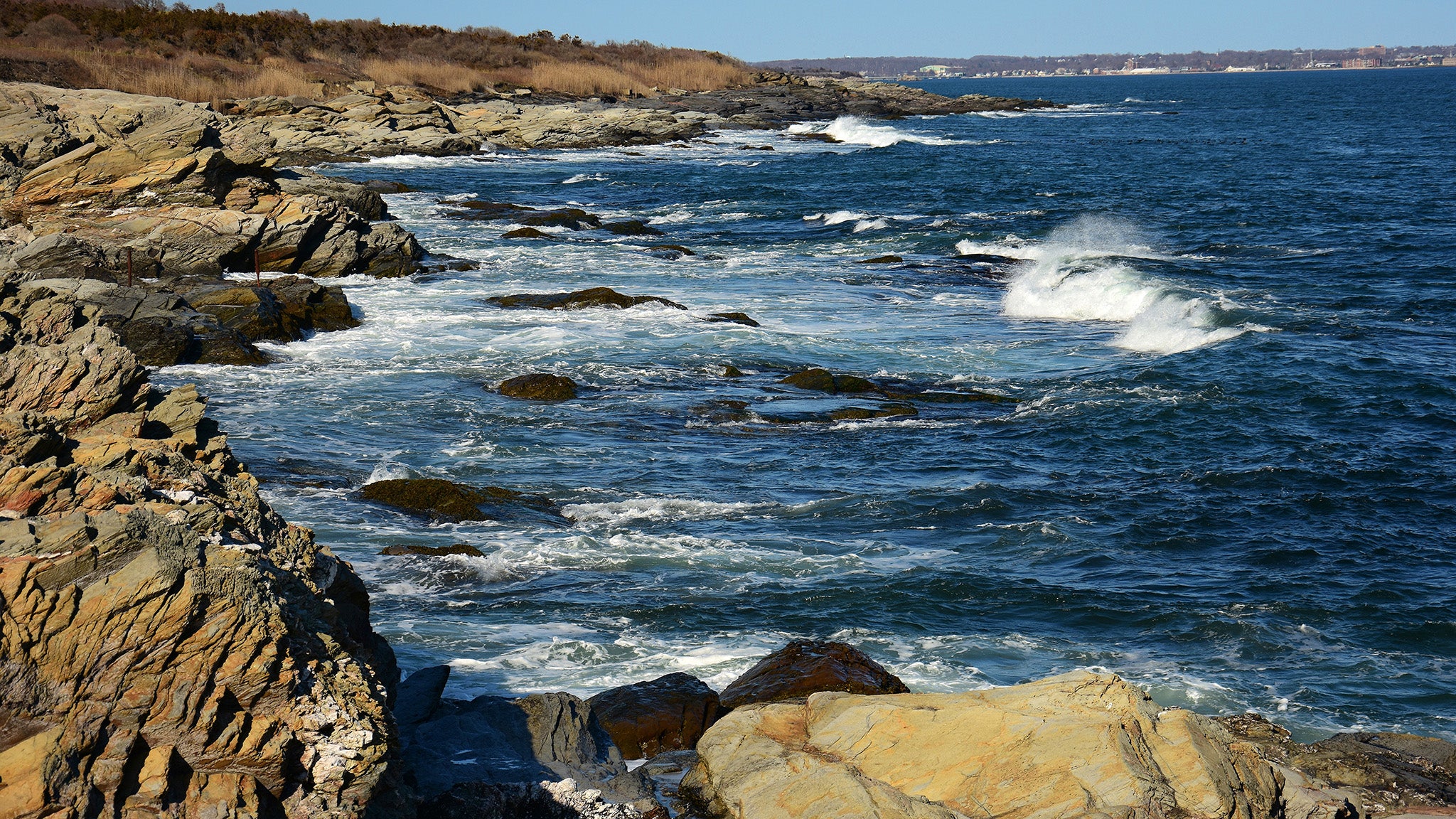 our coastal  backyard inpires our baristas everyday