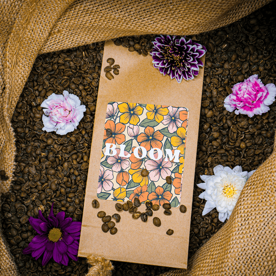 North Koffee May roast of the month Bloom