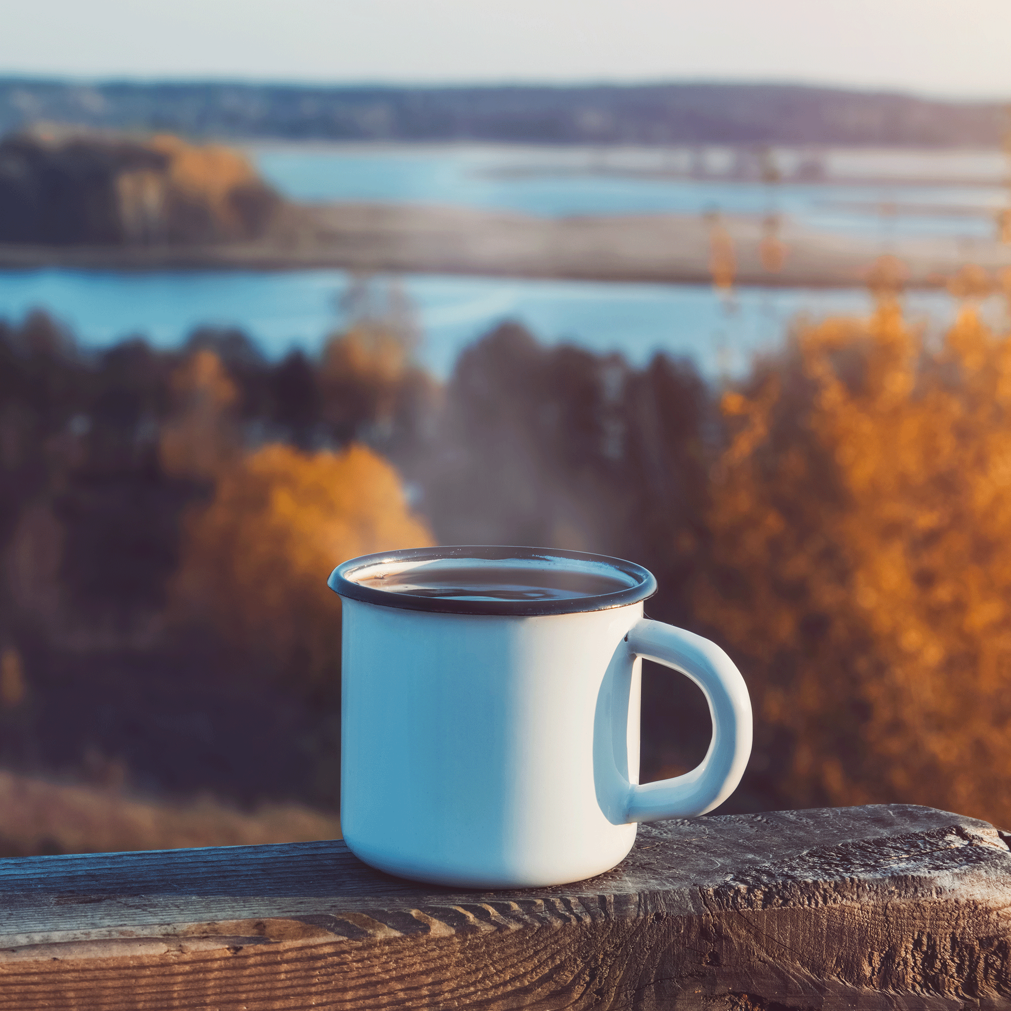 NOVEMBER ROAST OF THE MONTH - HARVEST