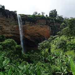 ORGANIC UGANDA SIPI FALLS (GP)