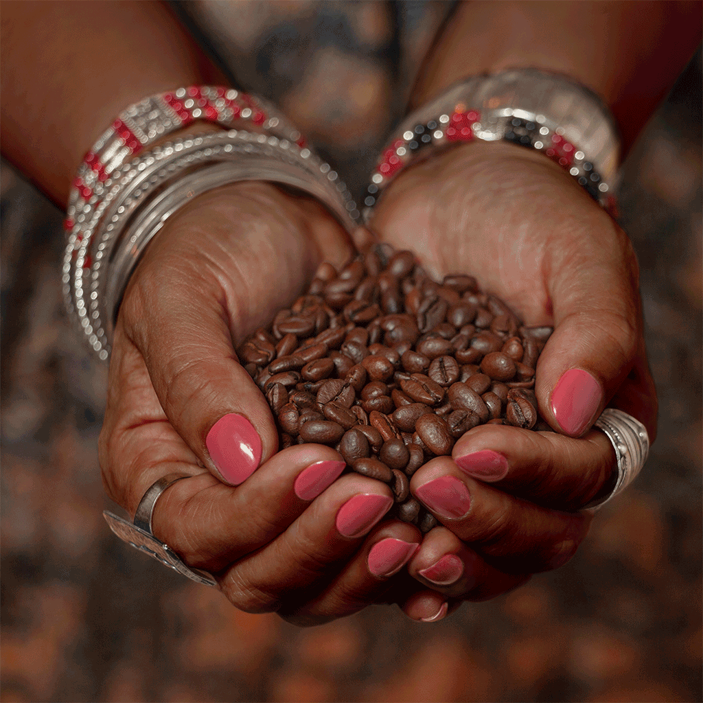 Woman wearing beautiful tribal jewelry and holding coffee beans in her hands